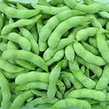 Field Beans