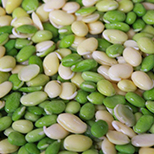 Hyacinth Beans