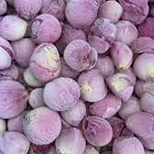 Red Baby Onions
